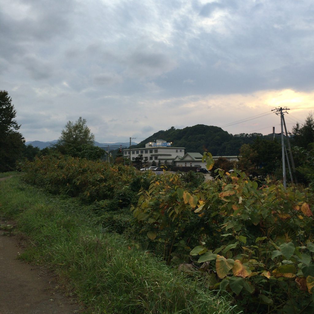 余市駅方面から、余市川沿いの小道(ほぼ獣道)をテクテク30分ほど歩くと水明閣が見えます。