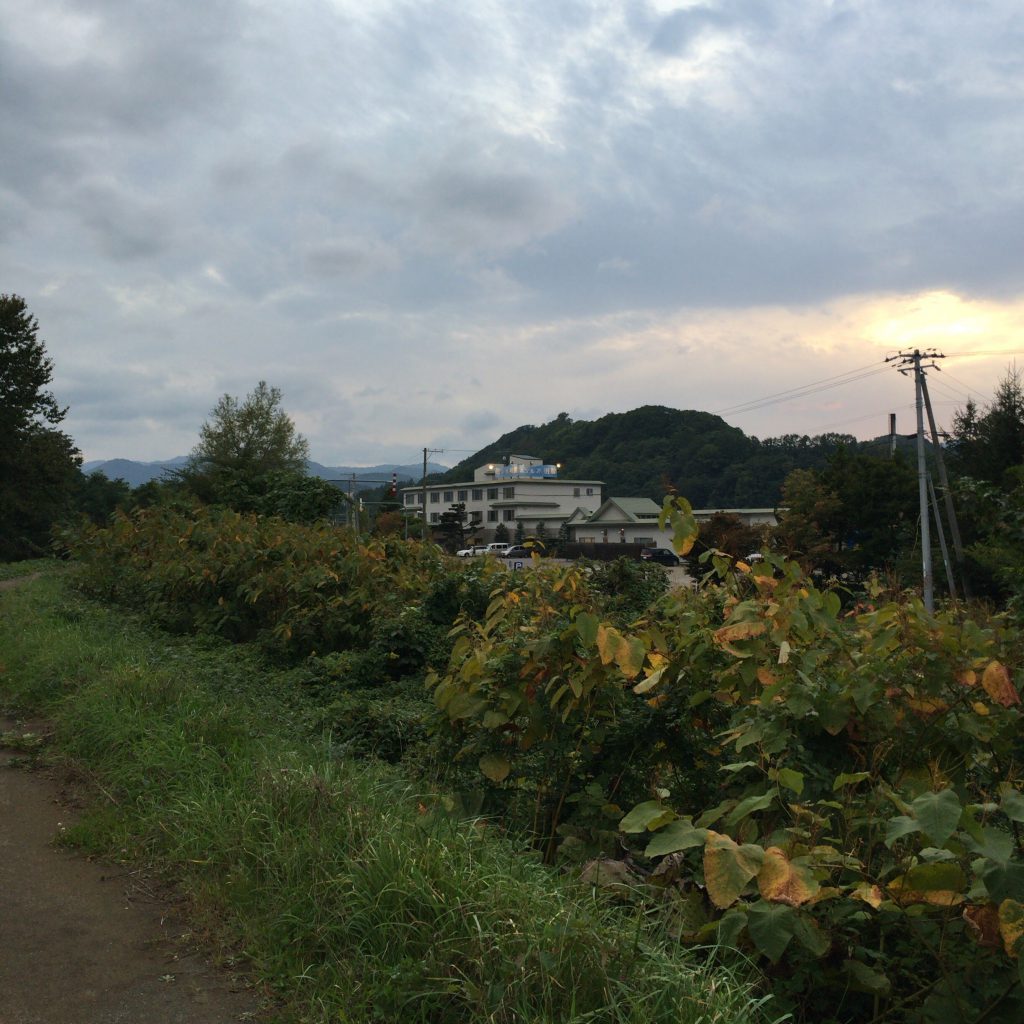 余市駅方面から、余市川沿いの小道（ほぼ獣道）をテクテク30分ほど歩くと水明閣が見えます。